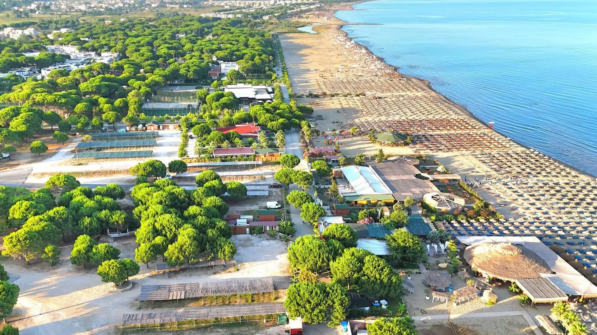 Beach Haven Hideaway 291 - Happy Rentals Plazhi San Pietro